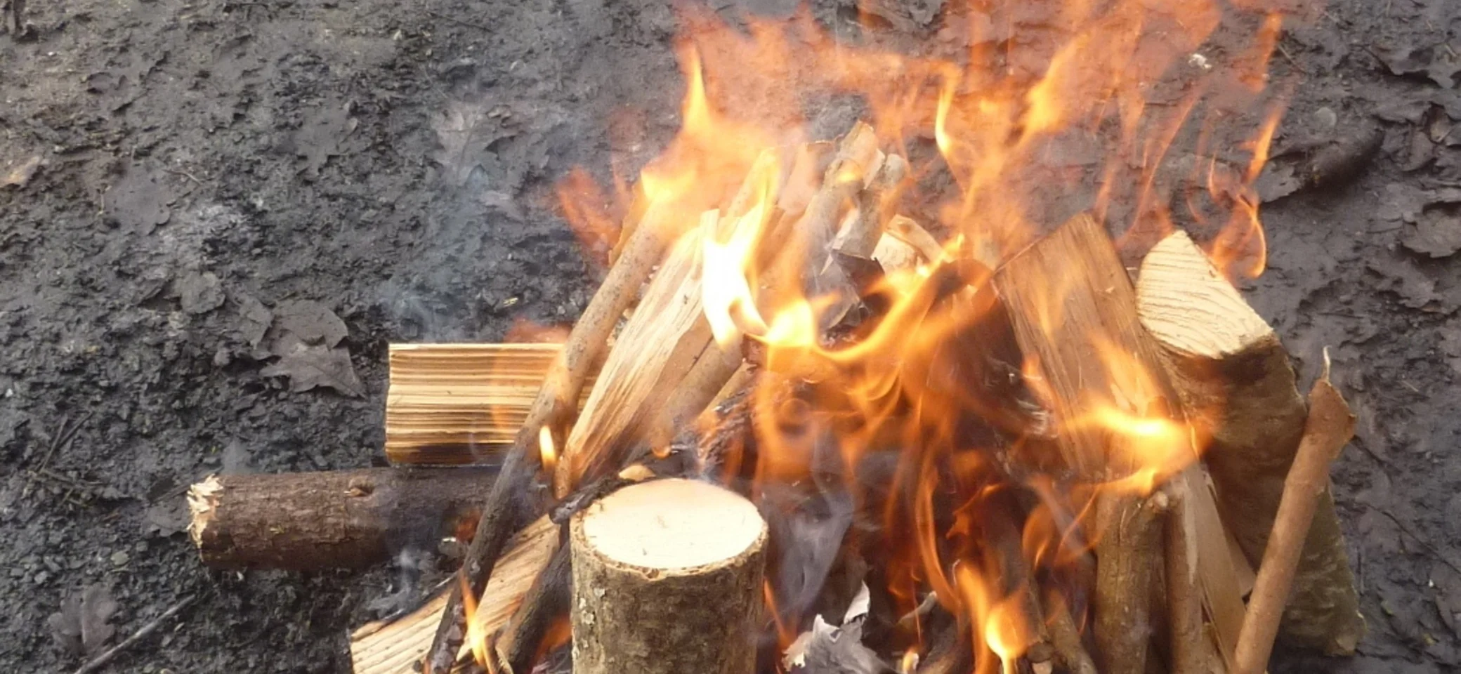 © Max Bischofberger