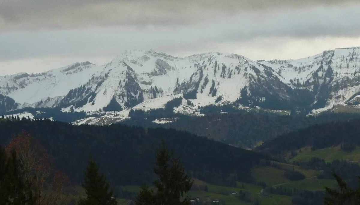 lick Richtung Nagelfluh-Kette | © M. Bischofberger