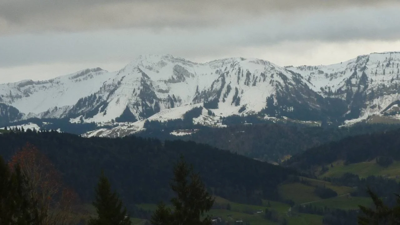lick Richtung Nagelfluh-Kette | © M. Bischofberger