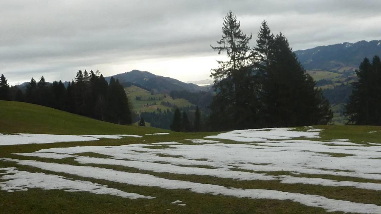 Richtung Alpsee | © M. Bischofberger