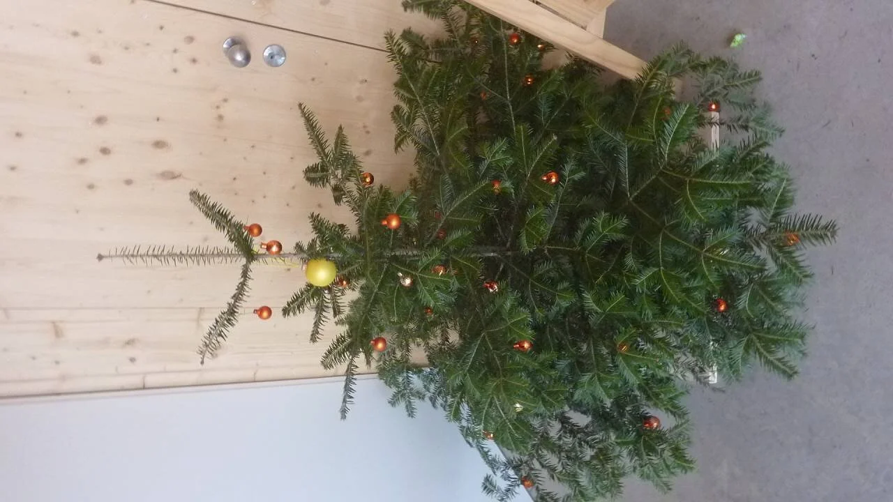 Christbaum Loben | © M. Bischofberger