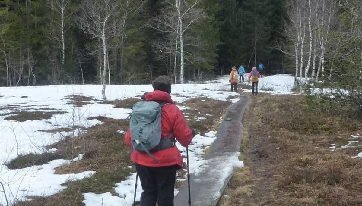 durchs Wilrosenmoos | © M. Bischofberger