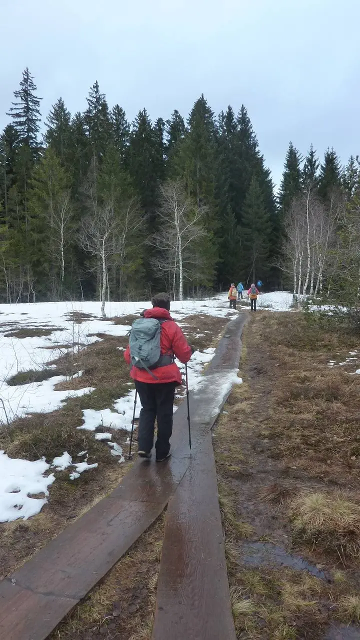 durchs Wilrosenmoos | © M. Bischofberger