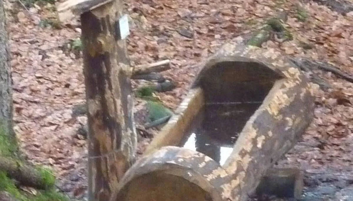 Am  kühlen  Brunnen | © M. Bischofberger