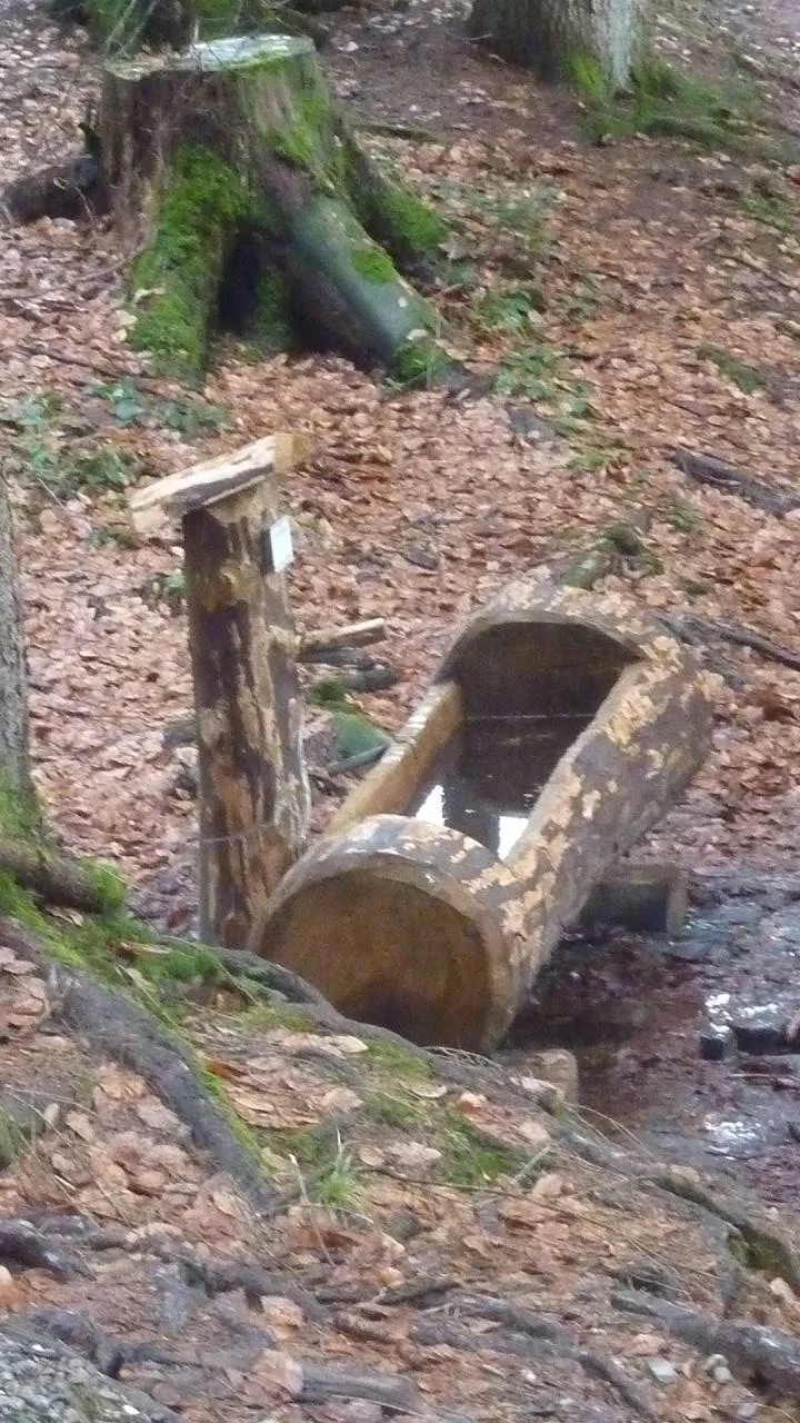 Am  kühlen  Brunnen | © M. Bischofberger