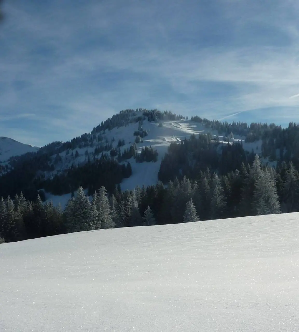 Eineguntkopf (1639m) | © M. Bischofberger