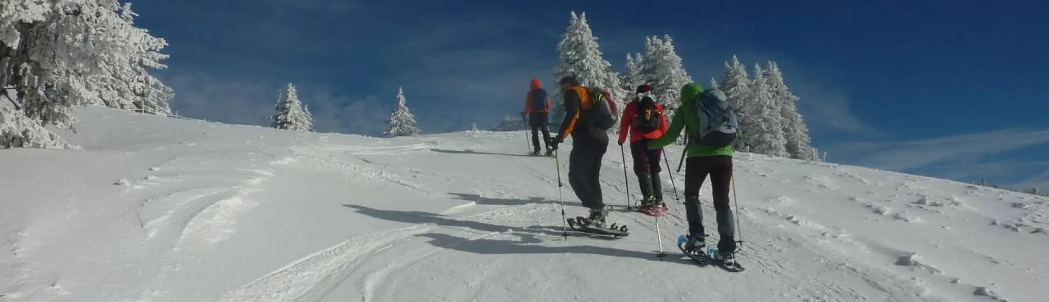 Kurz vor (eisigem) Gipfel | © M. Bischofberger