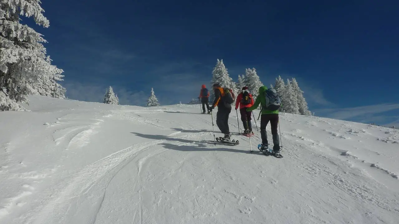 Kurz vor (eisigem) Gipfel | © M. Bischofberger