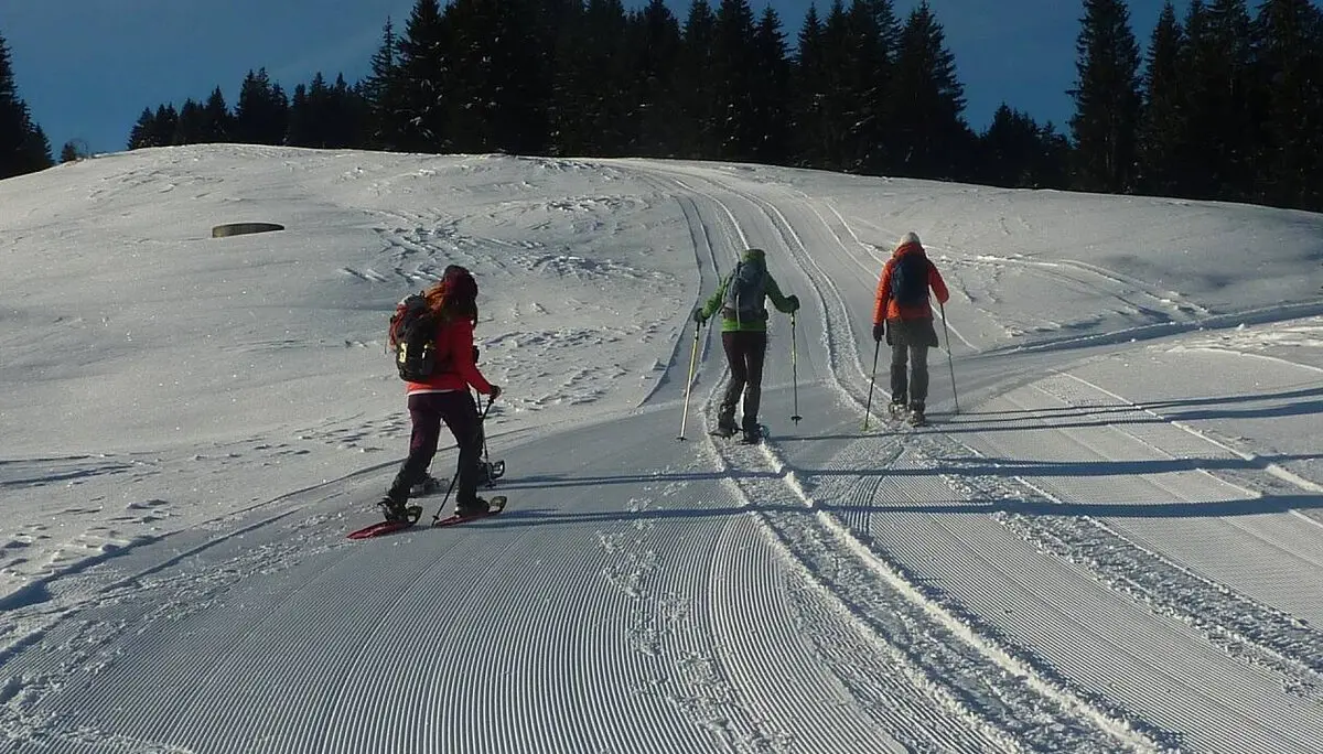 gewalzter Winterweg | © M. Bischofberger