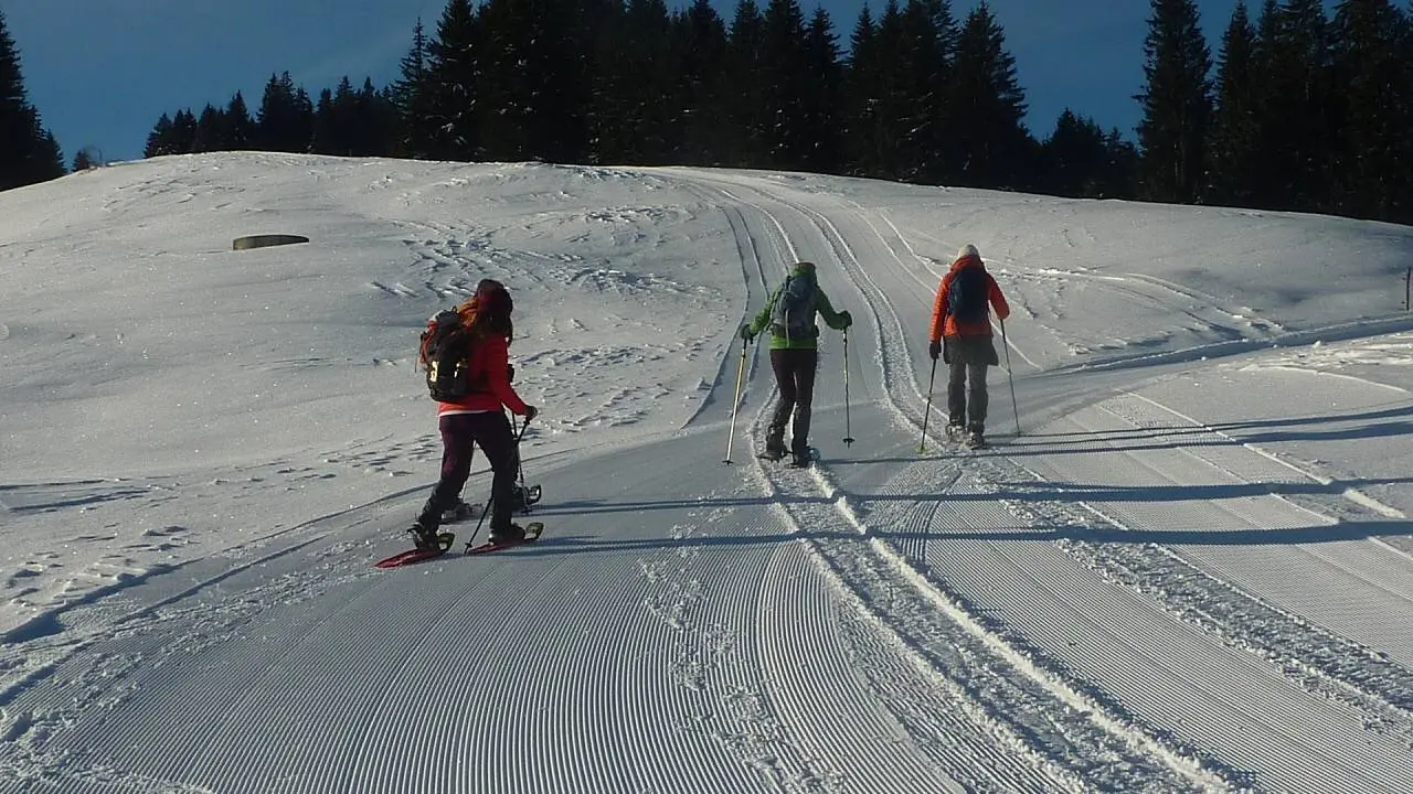 gewalzter Winterweg | © M. Bischofberger