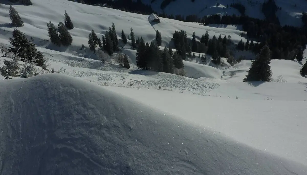 Abbrüche südseitig | © M. Bischofberger