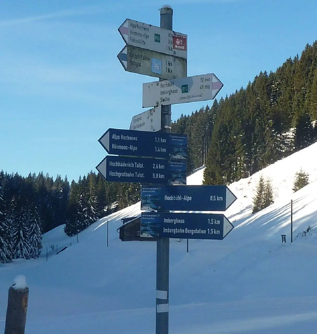 Nähe Hochbühl | © M. Bischofberger