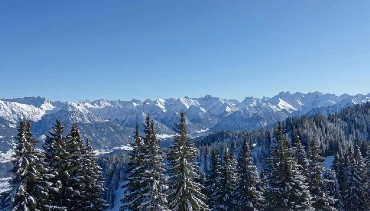 Skitour durchs Bolgental und Gunzesriedertal  | © P. Klugger