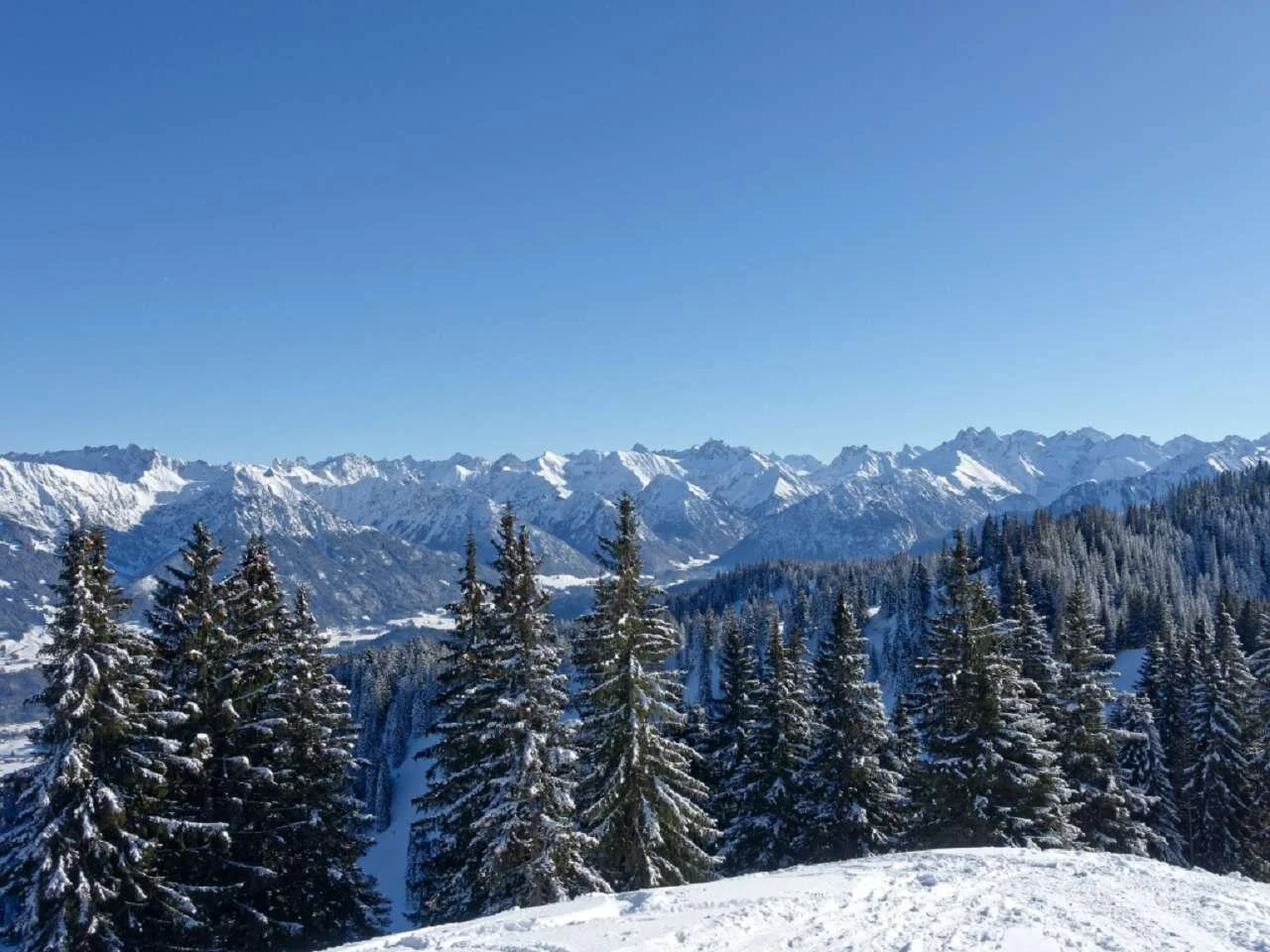 Skitour durchs Bolgental und Gunzesriedertal  | © P. Klugger