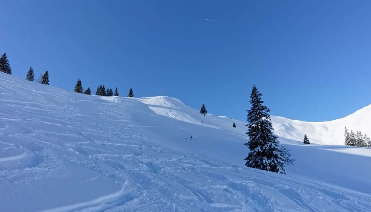 Skitour durchs Bolgental und Gunzesriedertal  | © P. Klugger