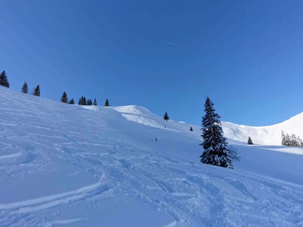 Skitour durchs Bolgental und Gunzesriedertal  | © P. Klugger