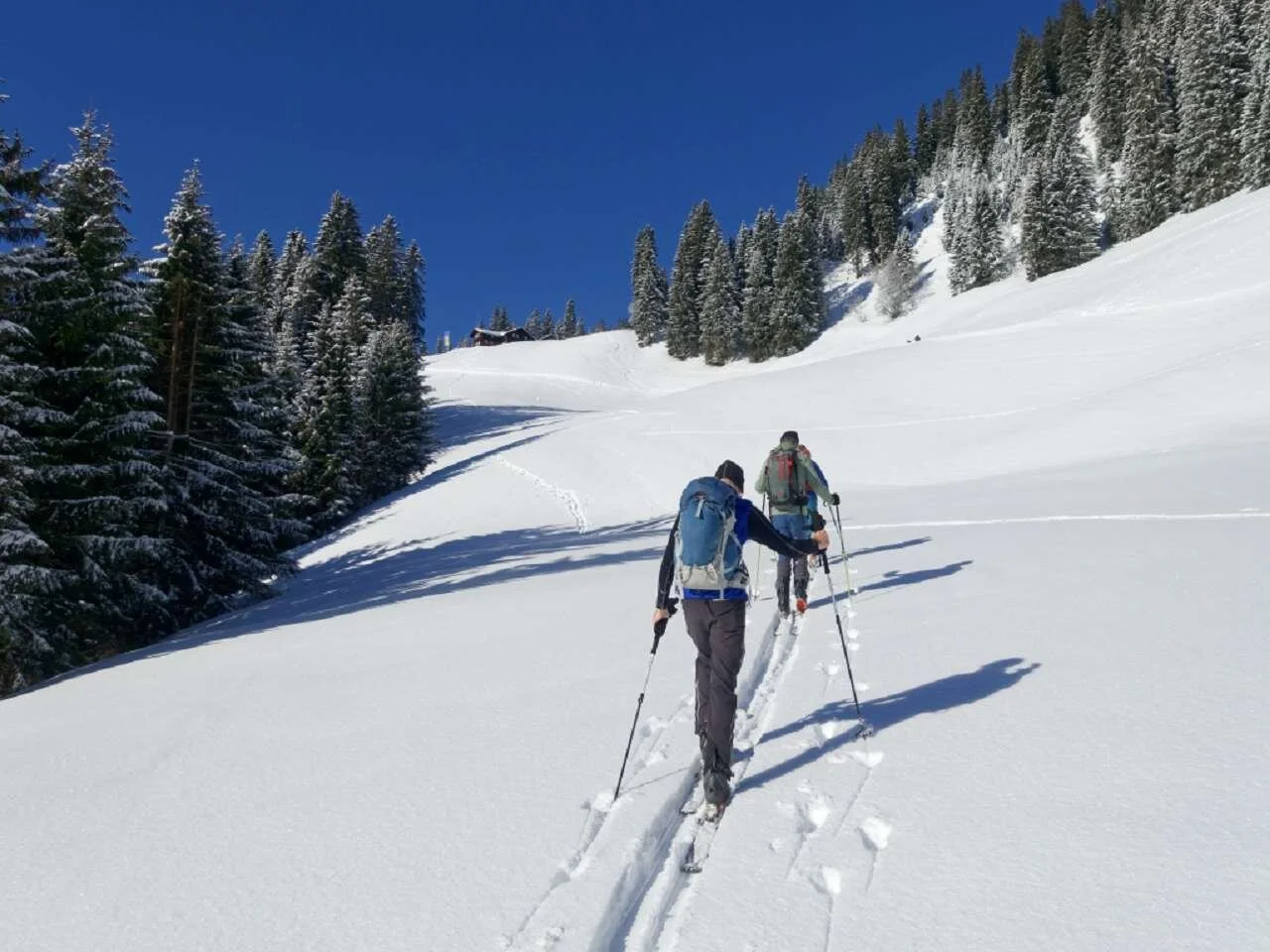 Skitour durchs Bolgental und Gunzesriedertal  | © P. Klugger