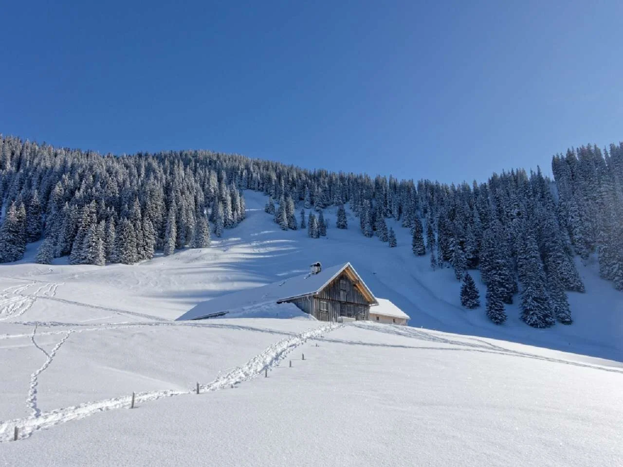 Skitour durchs Bolgental und Gunzesriedertal  | © P. Klugger