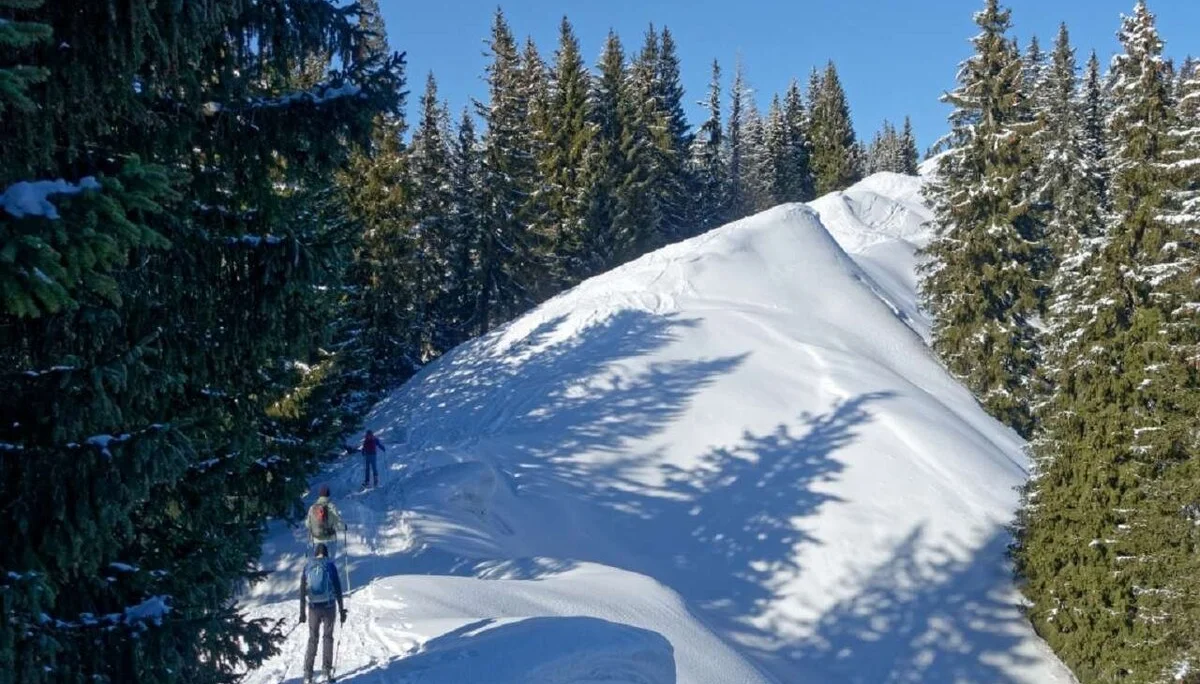 Skitour durchs Bolgental und Gunzesriedertal  | © P. Klugger