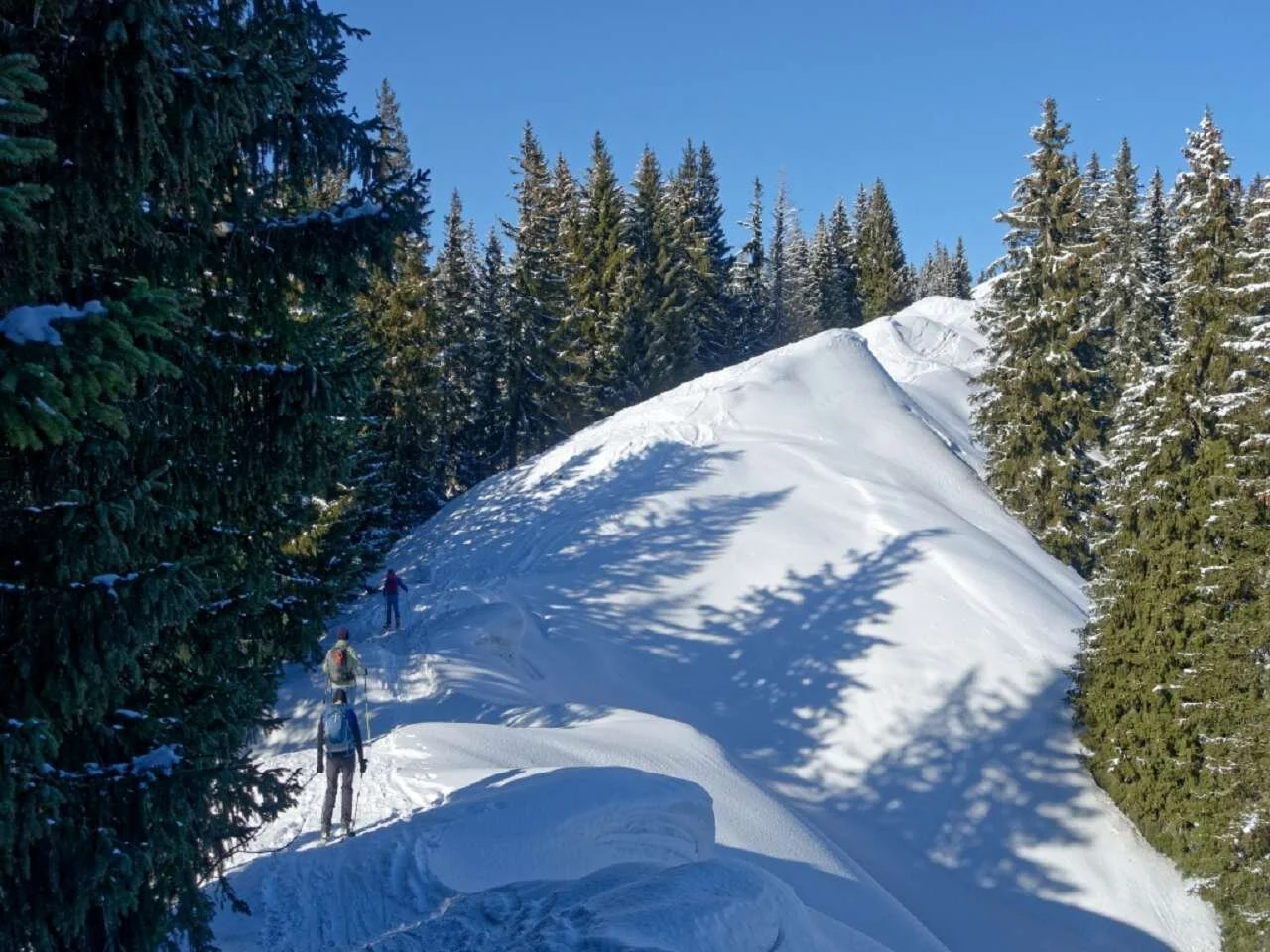 Skitour durchs Bolgental und Gunzesriedertal  | © P. Klugger