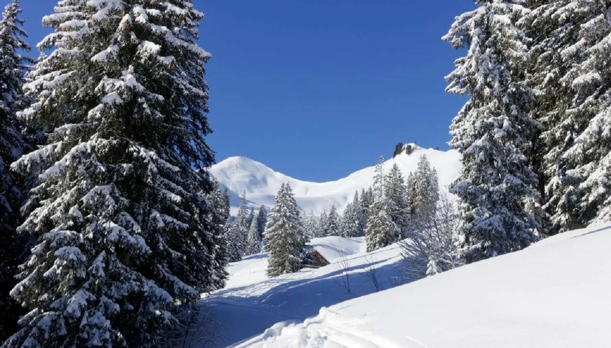 Skitour durchs Bolgental und Gunzesriedertal  | © P. Klugger