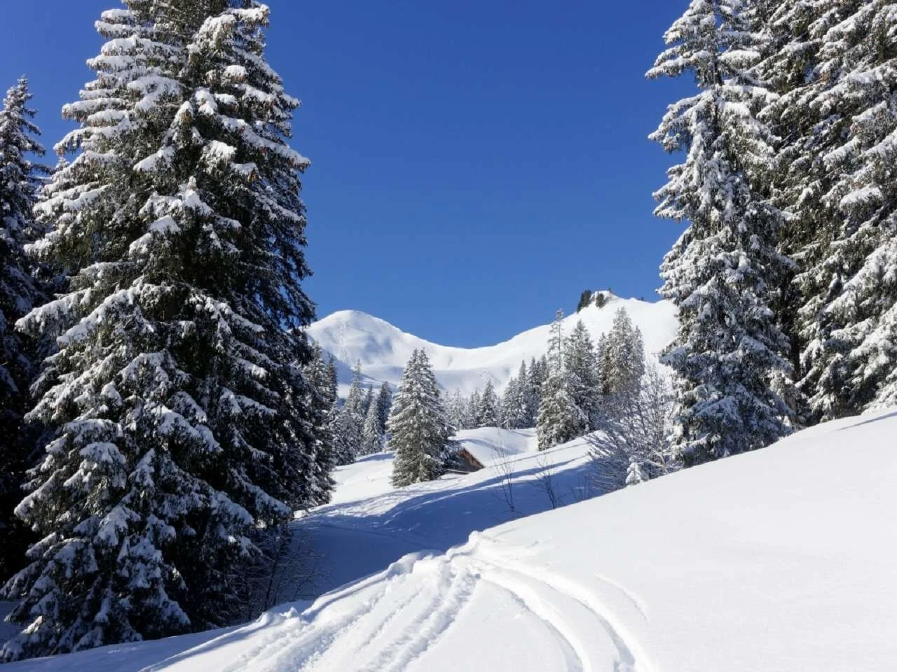 Skitour durchs Bolgental und Gunzesriedertal  | © P. Klugger