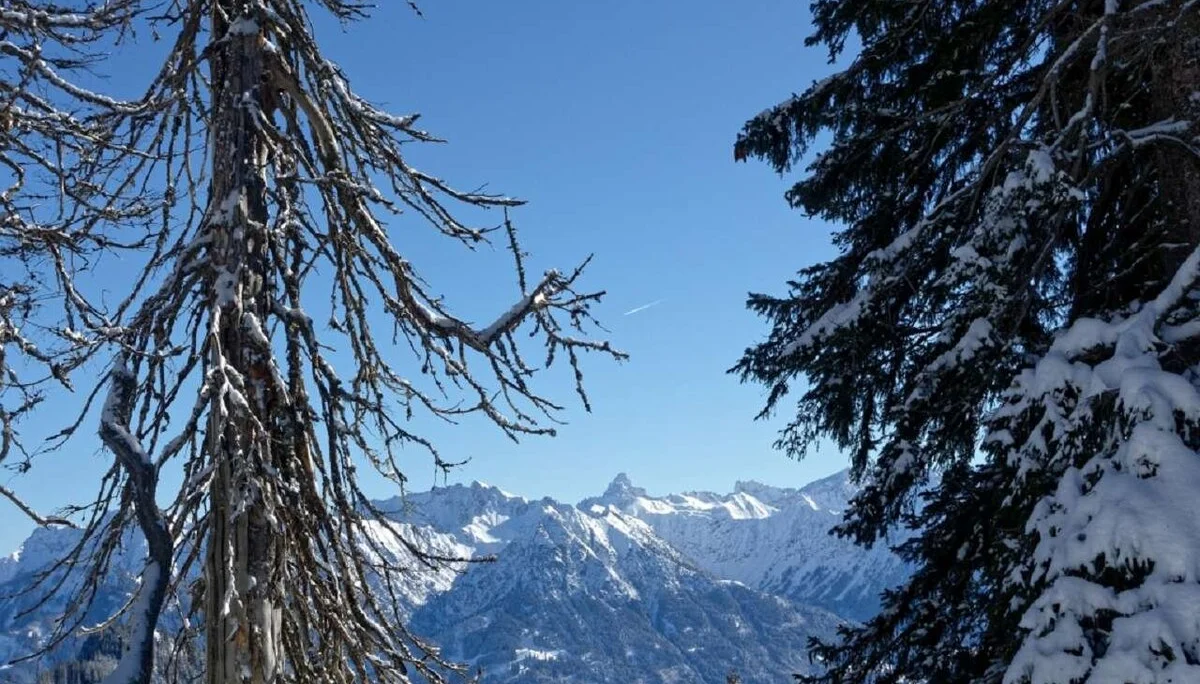 Skitour durchs Bolgental und Gunzesriedertal  | © P. Klugger