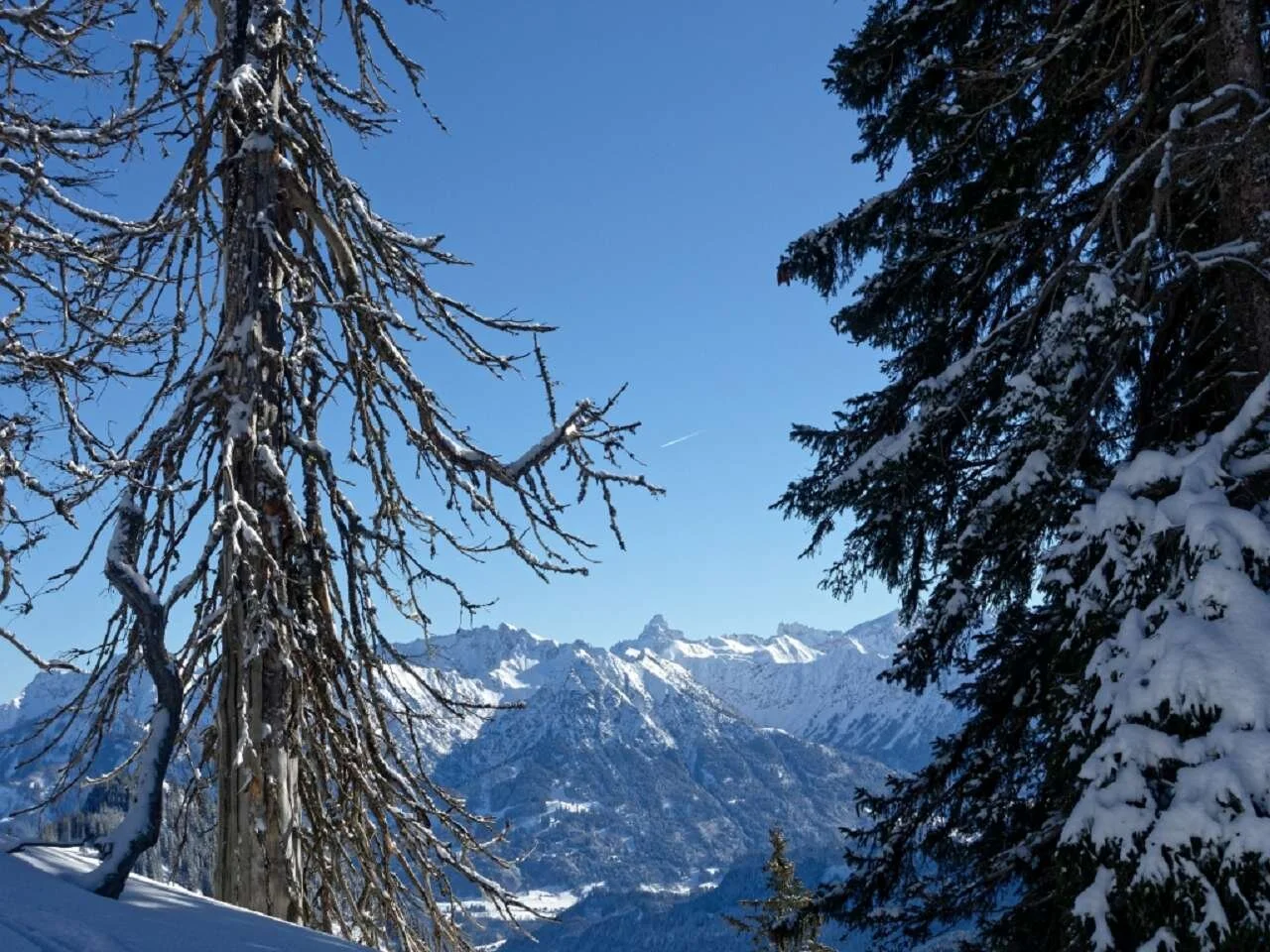 Skitour durchs Bolgental und Gunzesriedertal  | © P. Klugger