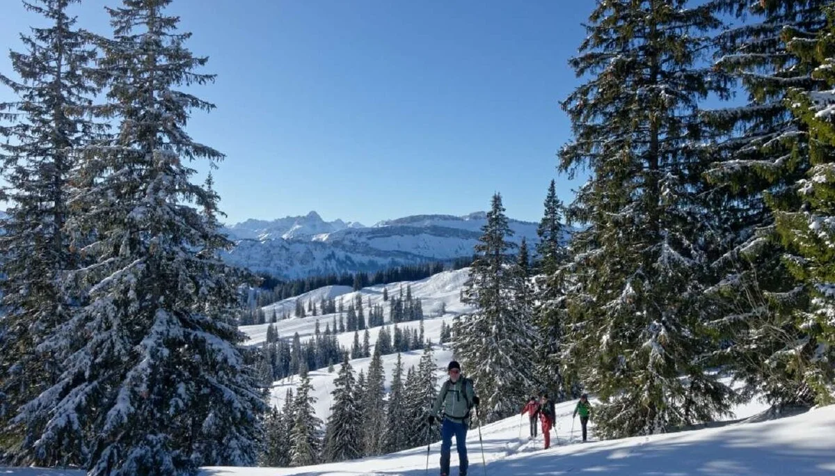 Skitour durchs Bolgental und Gunzesriedertal  | © P. Klugger