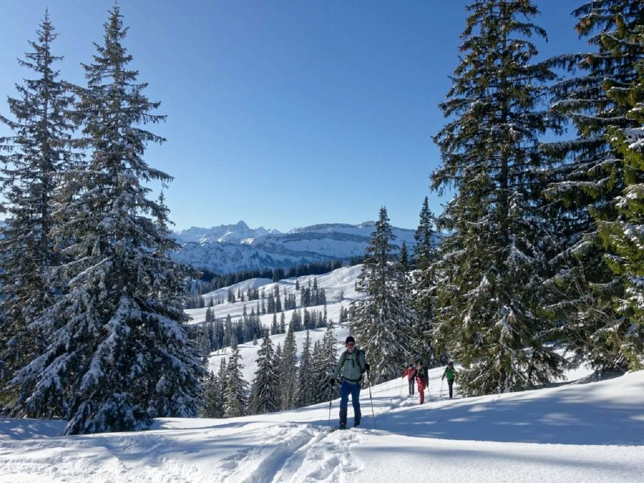 Skitour durchs Bolgental und Gunzesriedertal  | © P. Klugger