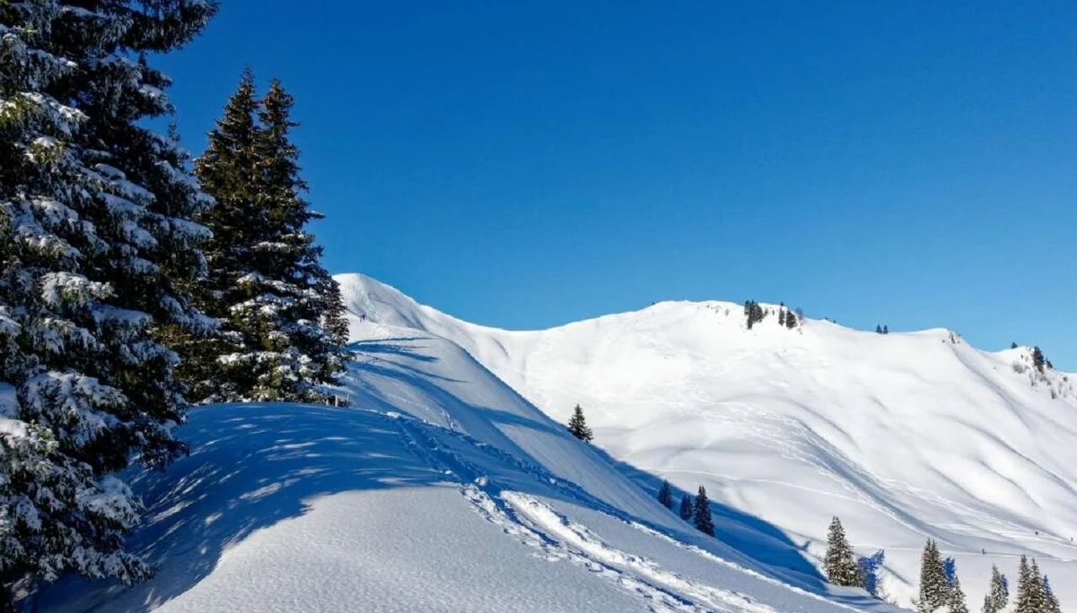 Skitour durchs Bolgental und Gunzesriedertal  | © P. Klugger