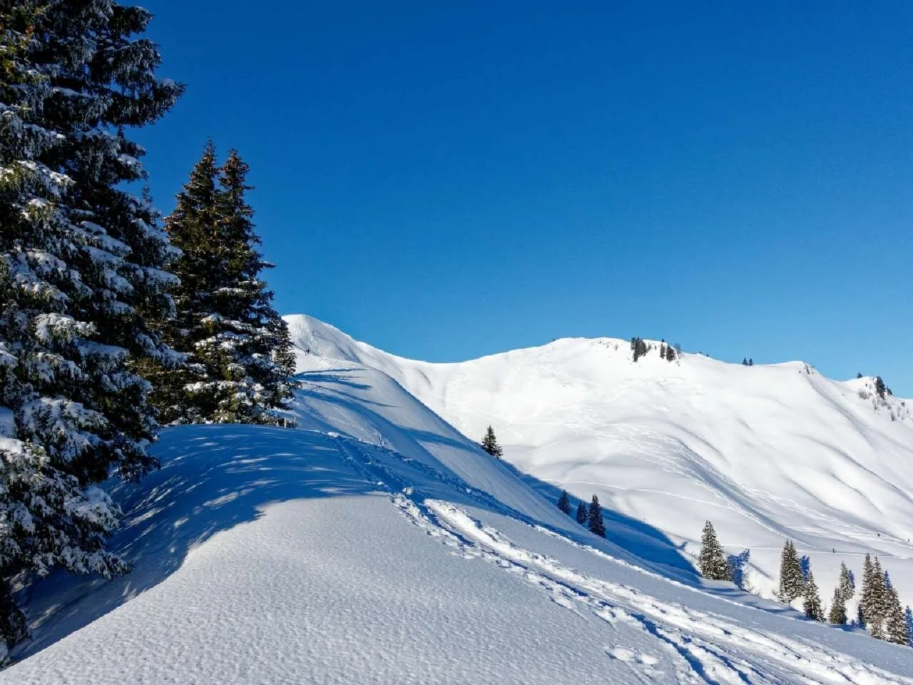 Skitour durchs Bolgental und Gunzesriedertal  | © P. Klugger