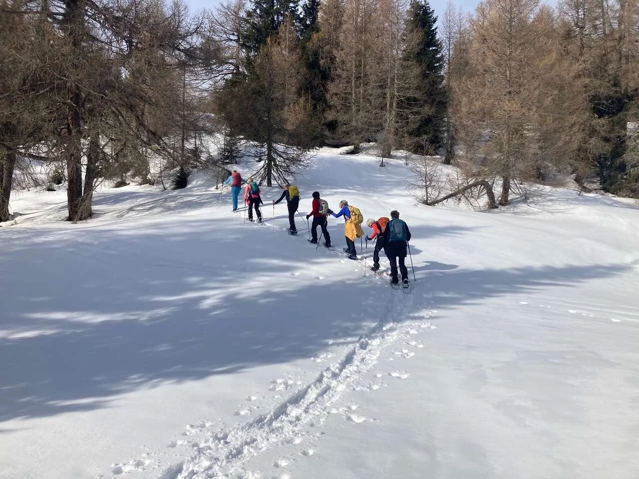 Schneeschuhtage im Stubaital | © DAV Wangen