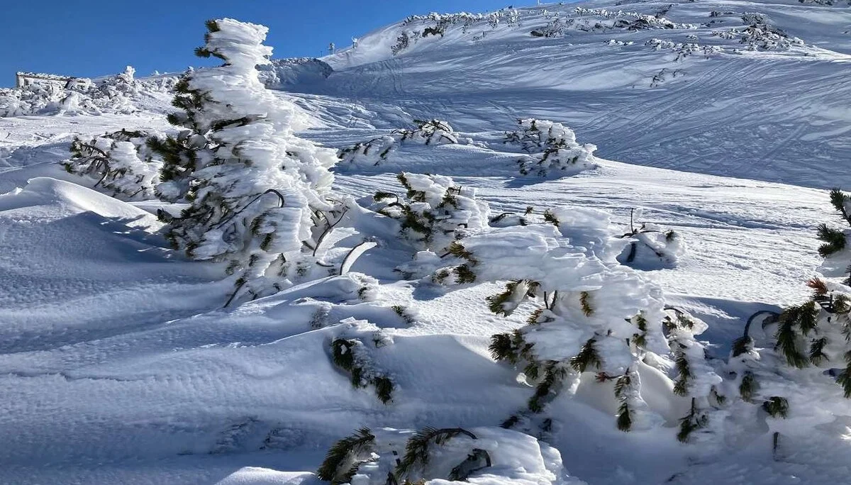 Schneeschuhtage im Stubaital | © DAV Wangen