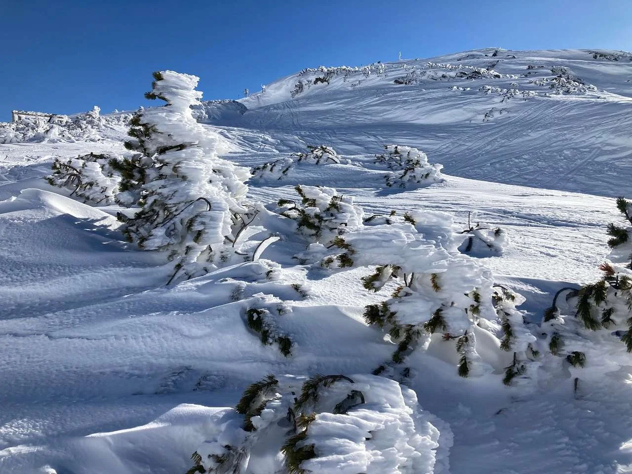 Schneeschuhtage im Stubaital | © DAV Wangen