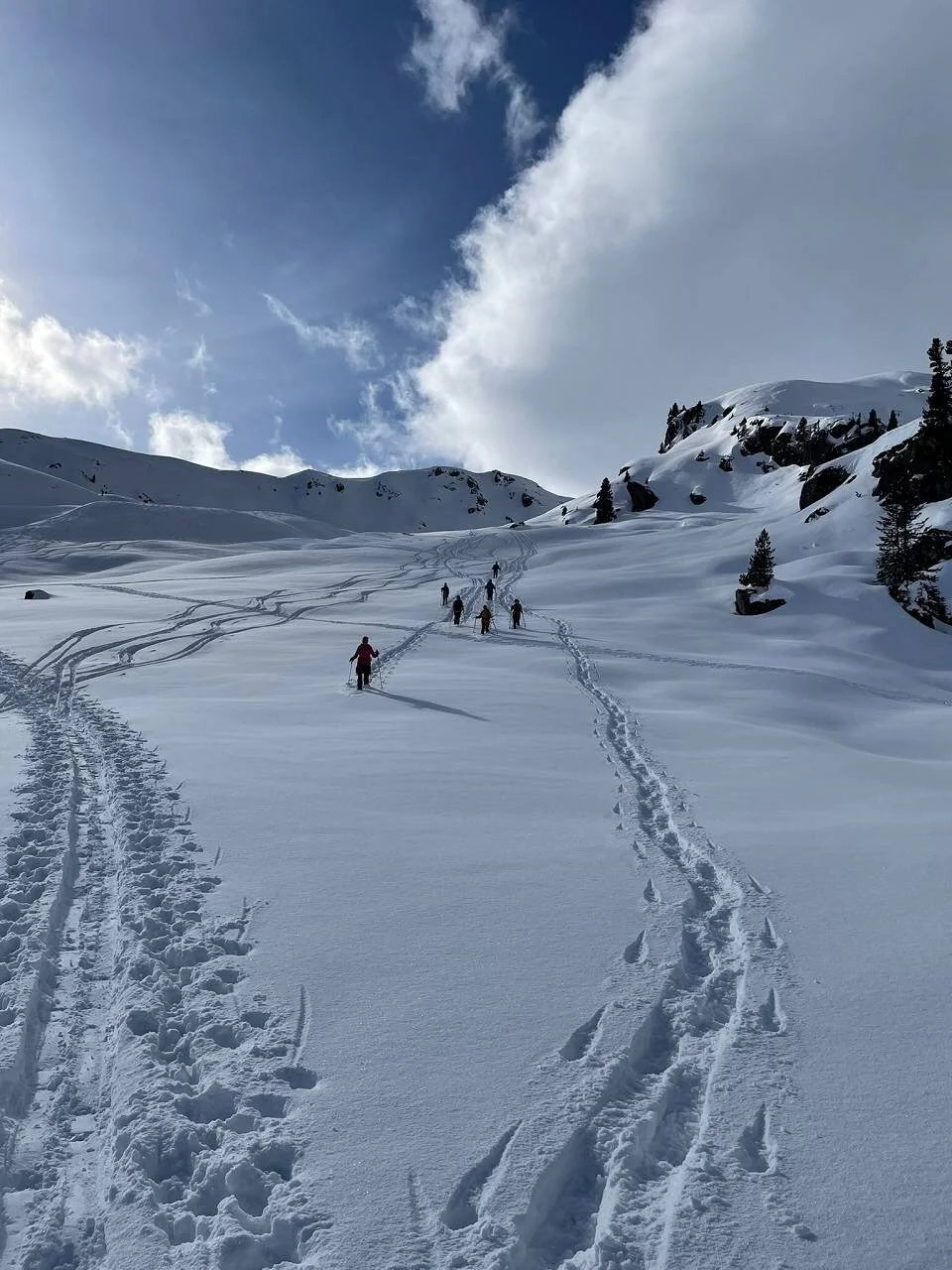 Freier Lauf | © DAV Wangen