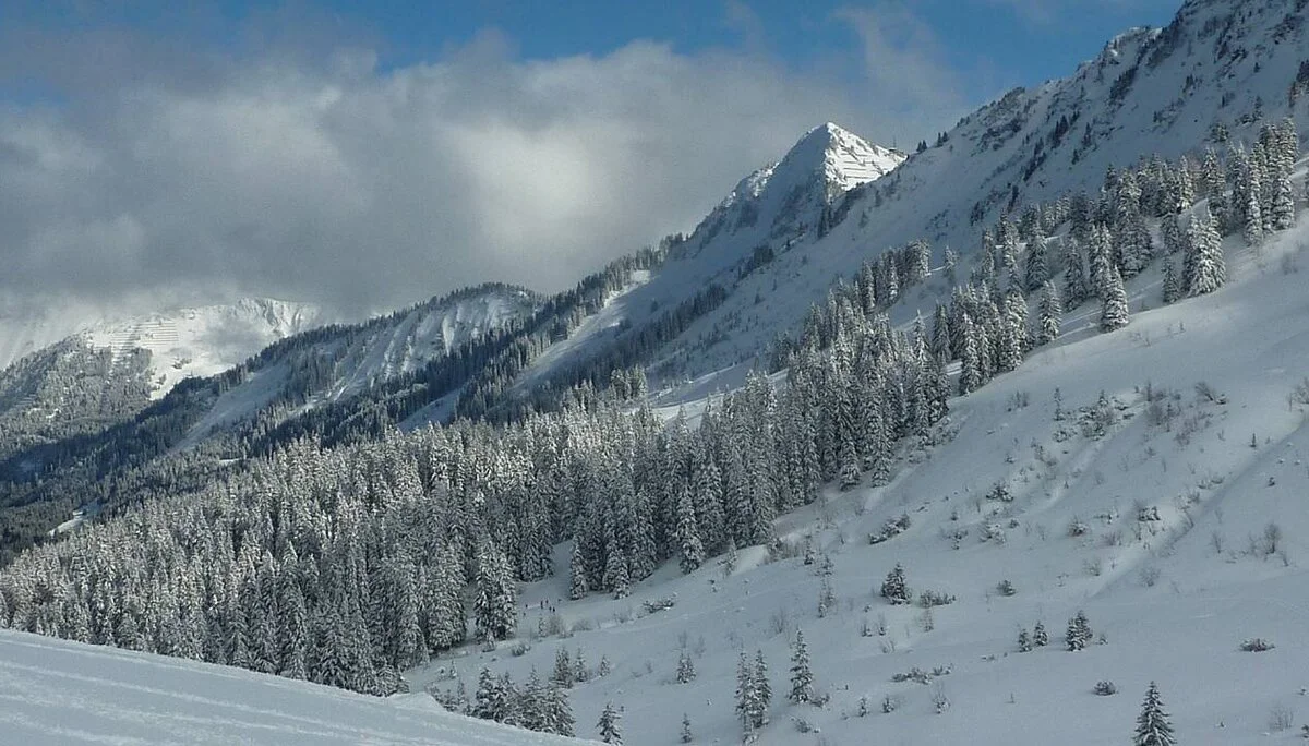 Richtung Walmendinger Horn | © M. Bischofberger