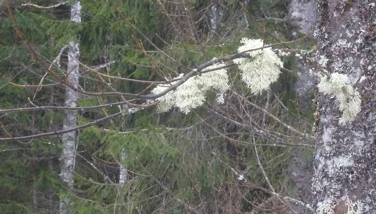 Kölle-Runde | © M. Bischofberger