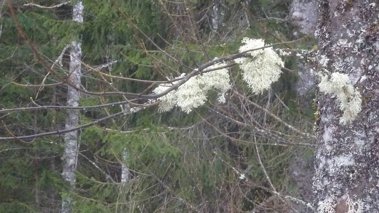 Kölle-Runde | © M. Bischofberger