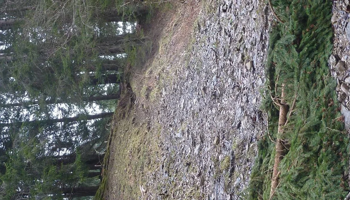 Kölle-Runde | © M. Bischofberger