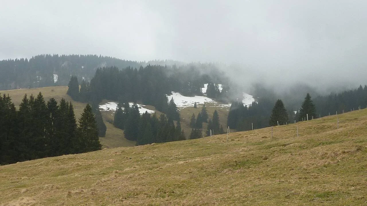 etwas Schnee ist noch da | © M. Bischofberger