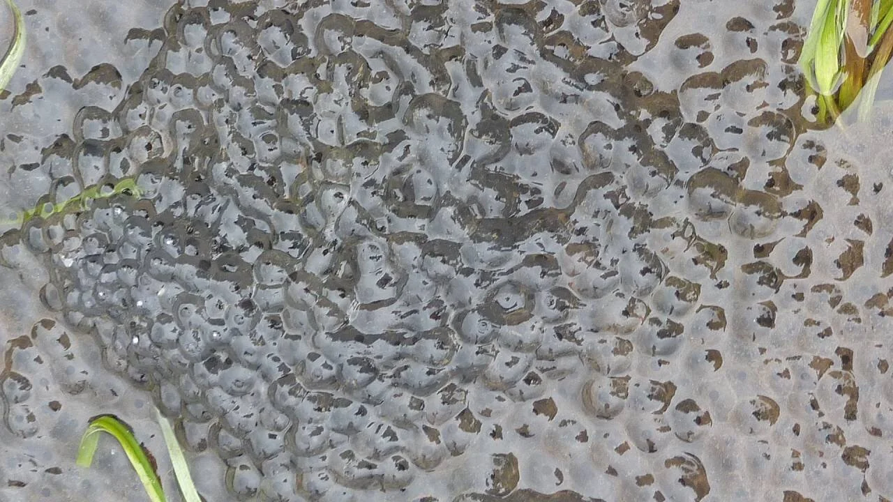 Kölle-Runde | © M. Bischofberger