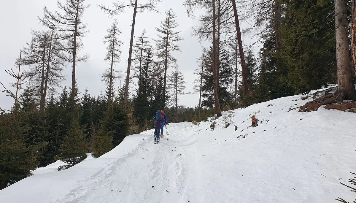 Skitouren im Wipptal | © H. Beck