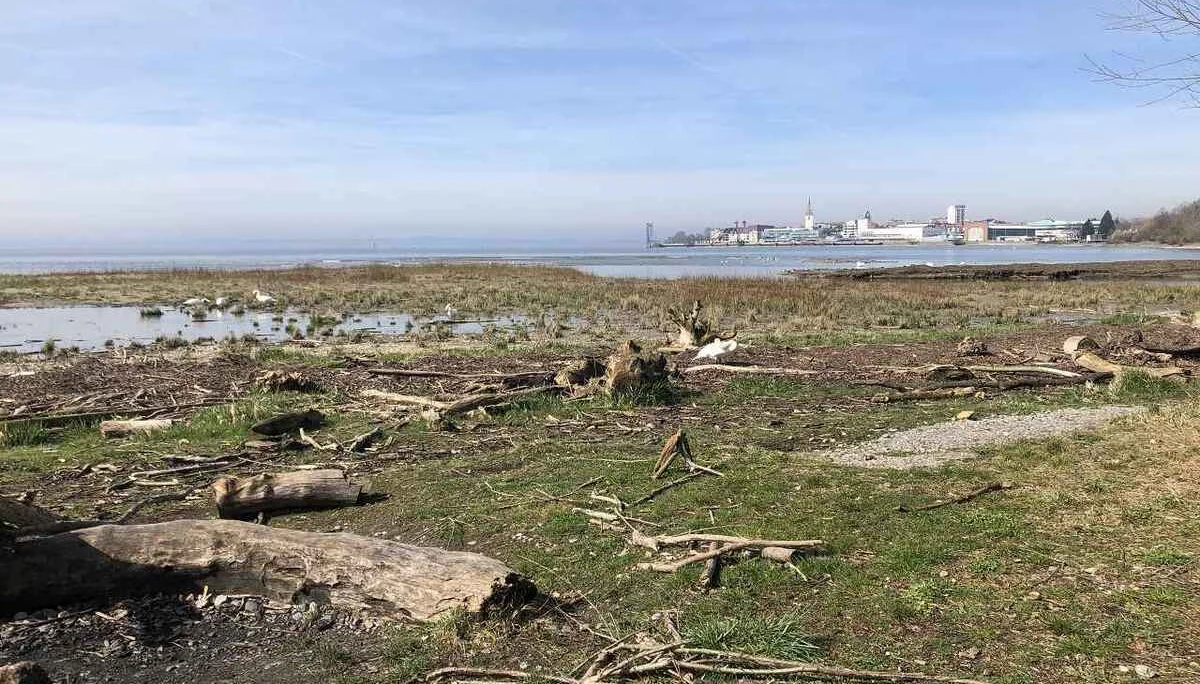 Bodenseetour 19.-20.3.2024 | © C. Maurus