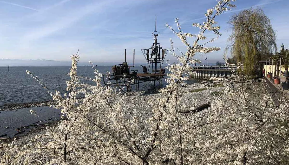 Bodenseetour 19.-20.3.2024 | © C. Maurus