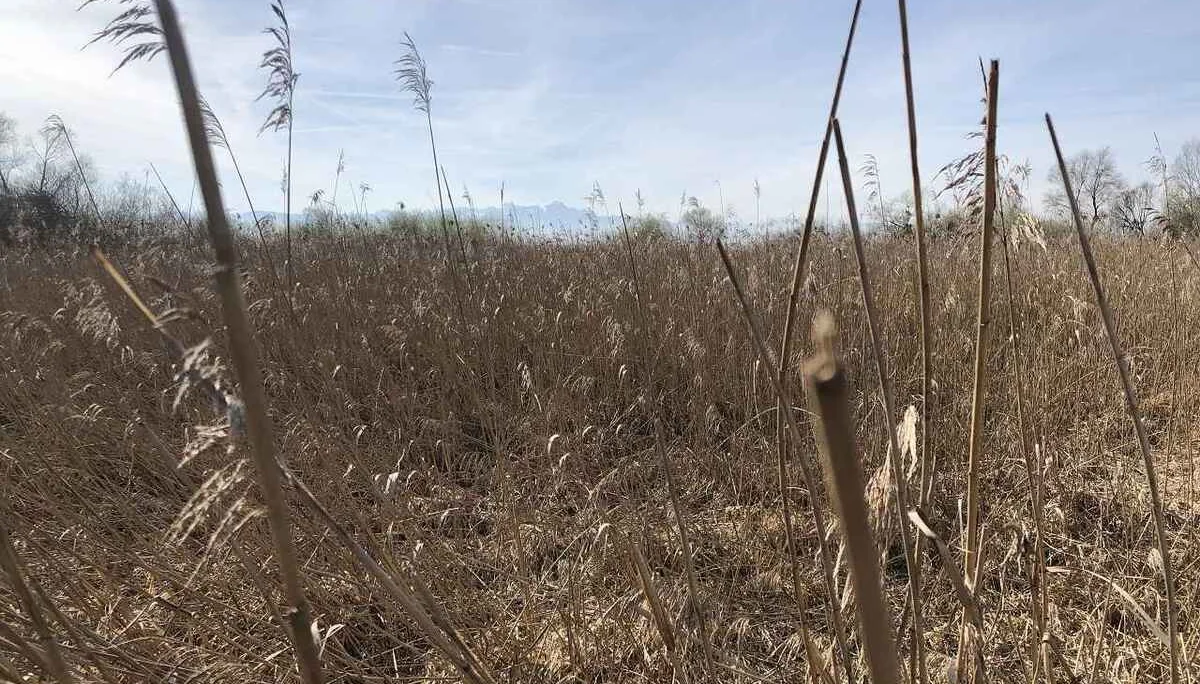 Bodenseetour 19.-20.3.2024 | © C. Maurus