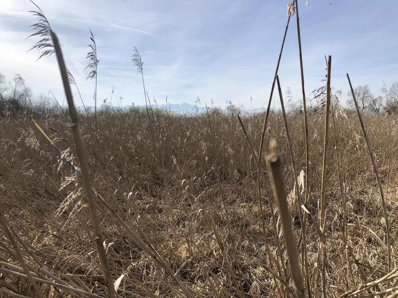 Bodenseetour 19.-20.3.2024 | © C. Maurus