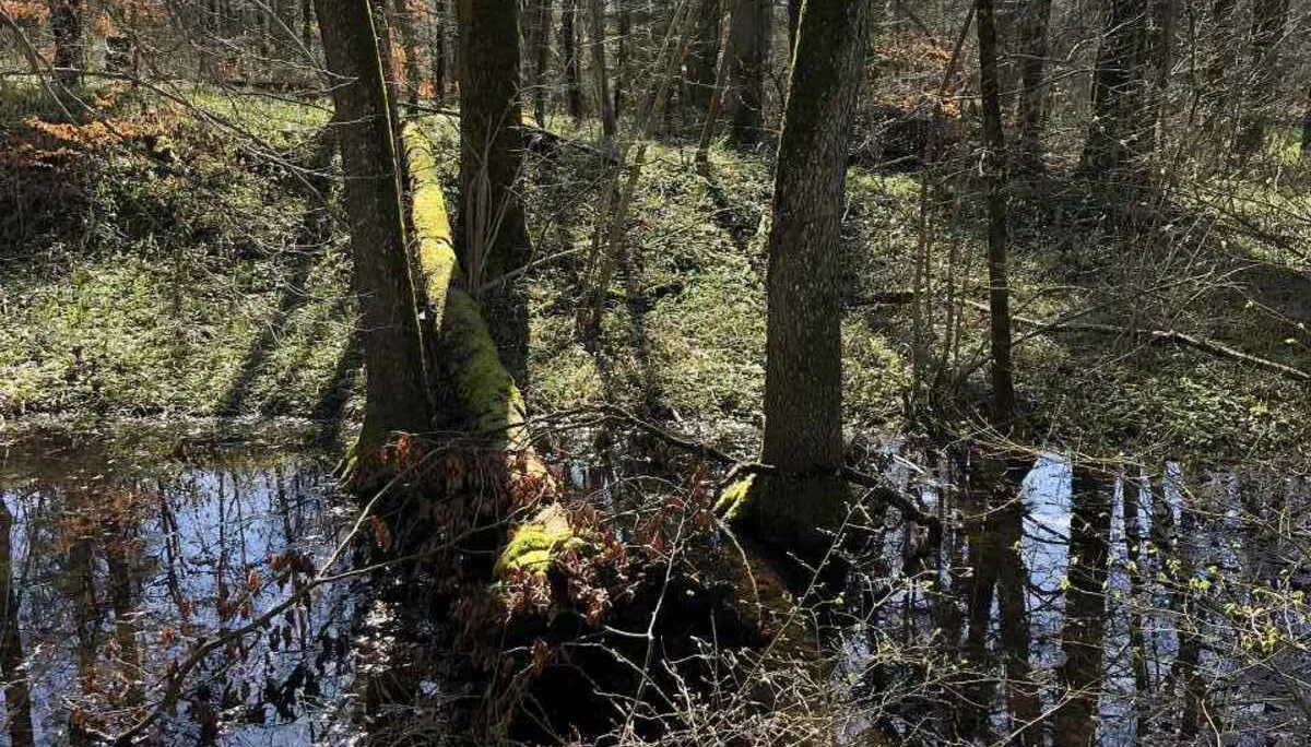 Bodenseetour 19.-20.3.2024 | © C. Maurus