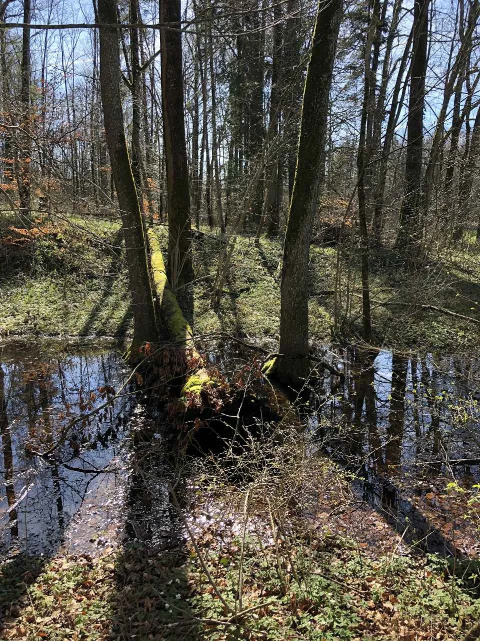 Bodenseetour 19.-20.3.2024 | © C. Maurus