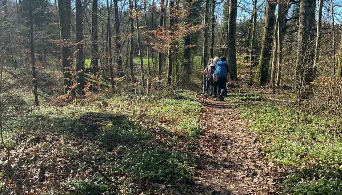 Bodenseetour 19.-20.3.2024 | © C. Maurus